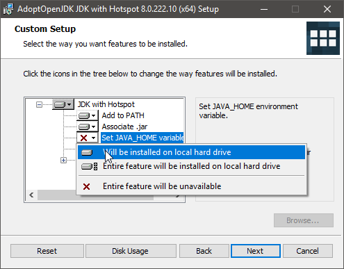 AdoptOpenJDK installer custom setup page